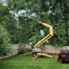 Reliable Woburn, MA  Tree Services Solutions